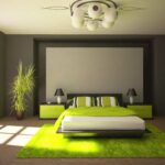 best lime green accent wall home design beautiful decor table gray and bedrooms fresh upholstered styled with greens stainless tables hanging chair bunnings drum seat height 150x150