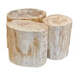 blond petrified wood stool full polish jalan timor trunk accent table glass lamp shades for lamps west elm morten ikea bedroom storage ideas chairside with attached cherry coffee 150x150