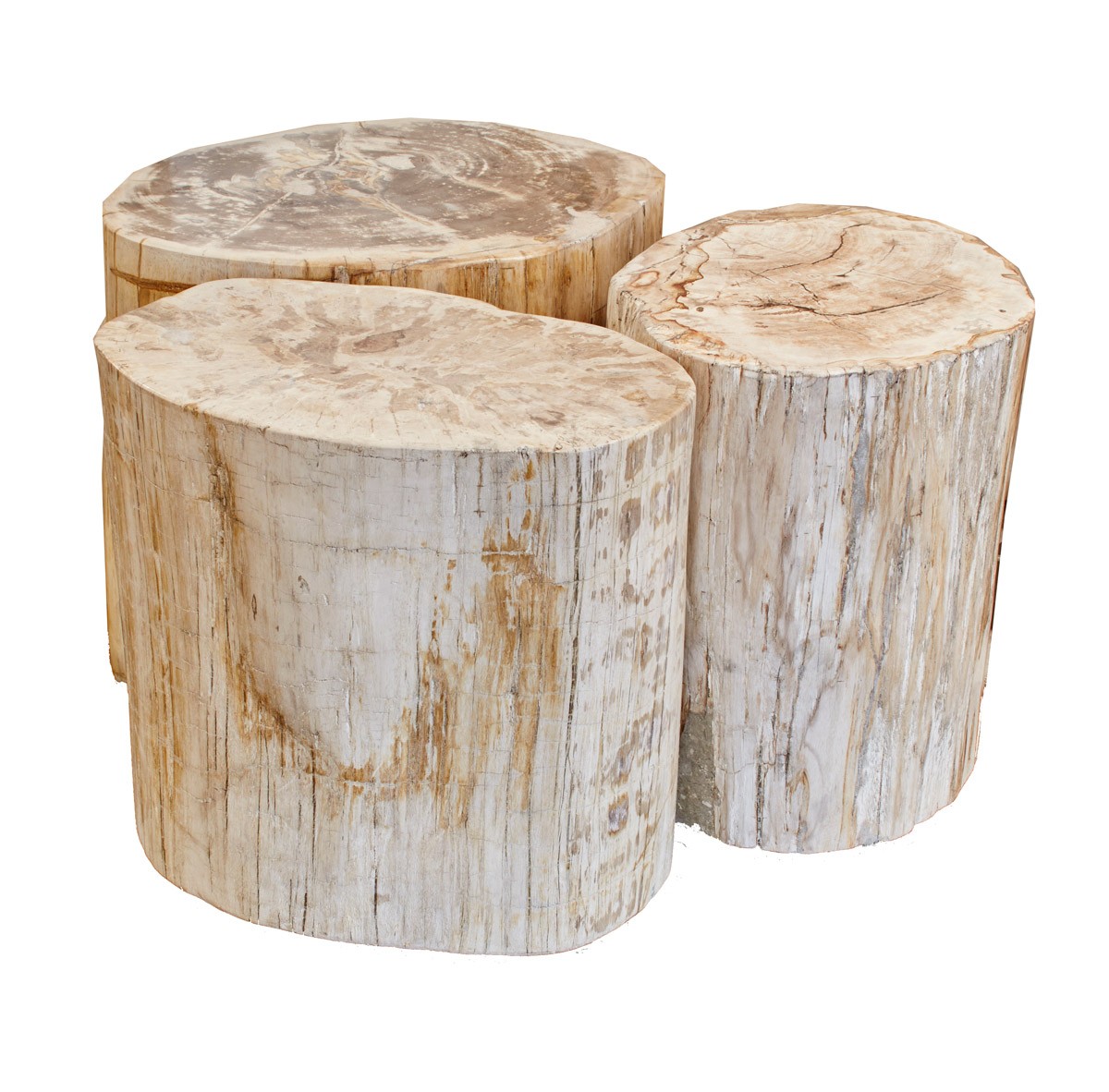 blond petrified wood stool full polish jalan timor trunk accent table glass lamp shades for lamps west elm morten ikea bedroom storage ideas chairside with attached cherry coffee
