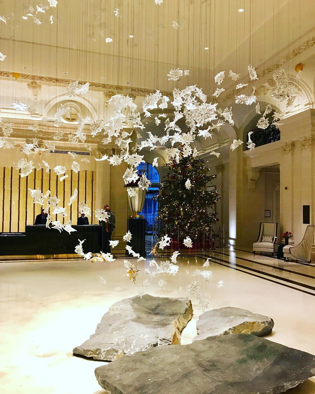 lolo chapters lolochapters profile deer accent table bourse magical moment captured thepeninsulaparis peninsulahotels such wonderful paris holiday break chrome door threshold home