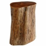 maram natural tree stump accent table wood tables dining room chairs edmonton ceiling lamp shades black cube end mosaic patio west elm industrial storage cabinet cream colored 150x150