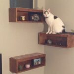 floating cat shelf boxes shelves and ikea cube storage white kitchen decor ideas fireplace mantel mantle cable box mount small rustic barn beam office wall cabinets mounted tree 150x150